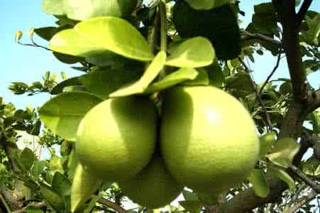 九游电竞官网案例展示一