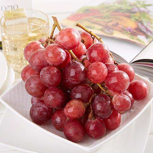 九游电竞官网产品名称五